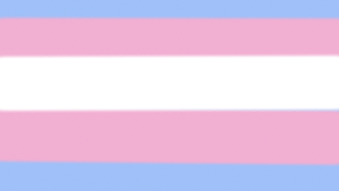 Love this flag no bias guys I swear