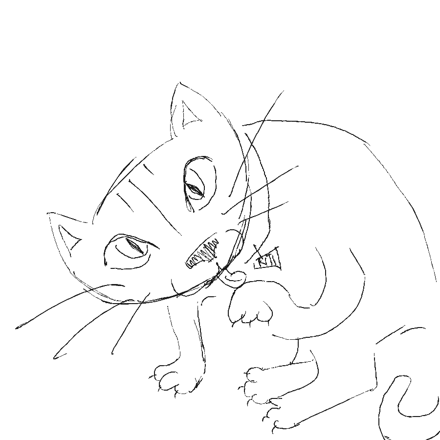 meow meow