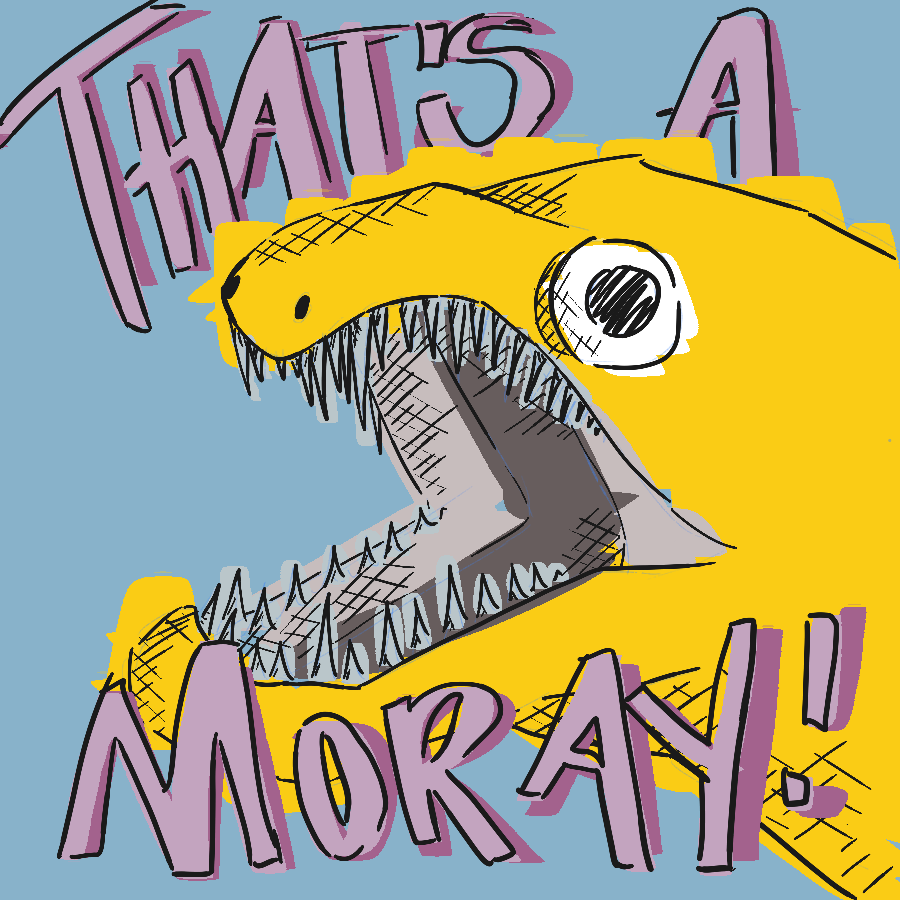 And that's a moraaaaaay!