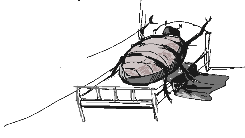Drawing