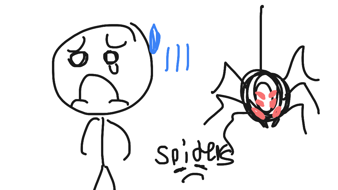 Spiders